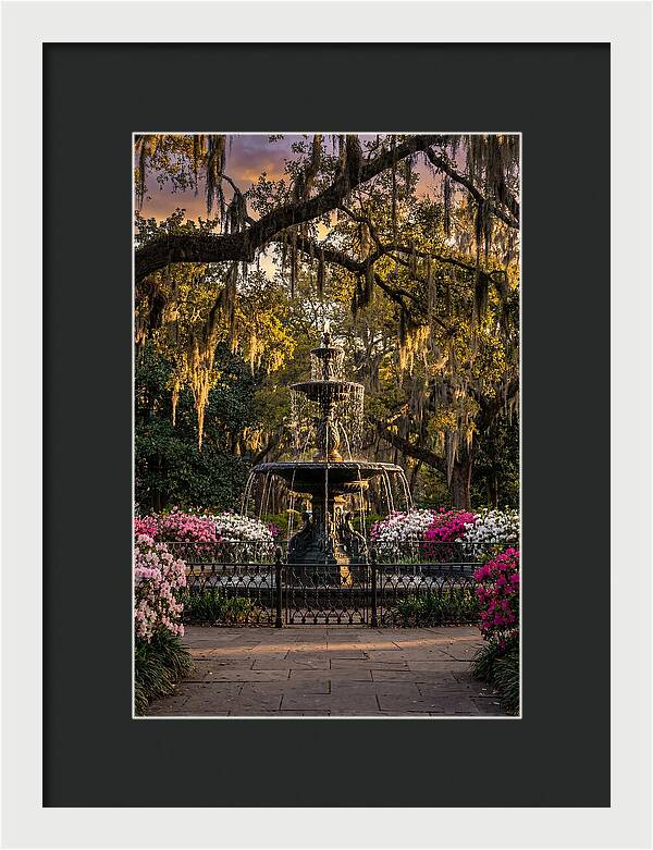 Forsyth Park Fountain At Golden Hour