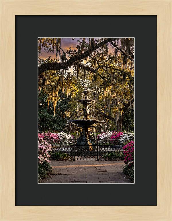 Forsyth Park Fountain At Golden Hour