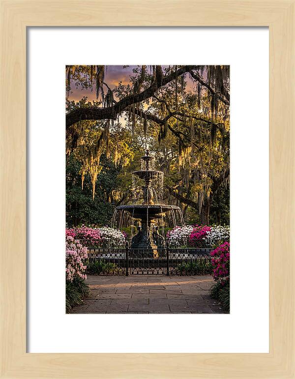 Forsyth Park Fountain At Golden Hour