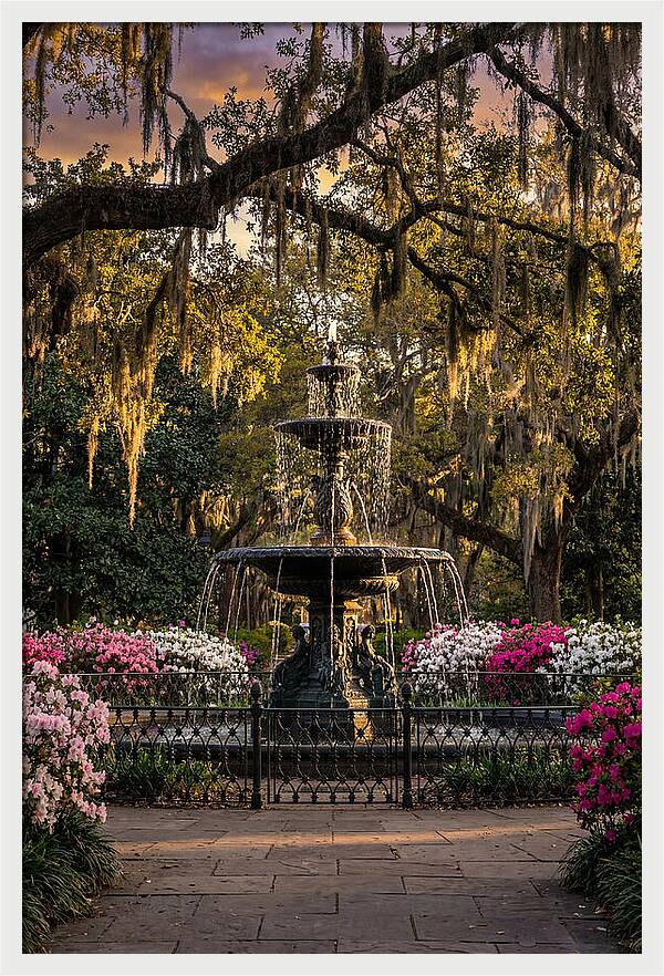 Forsyth Park Fountain At Golden Hour