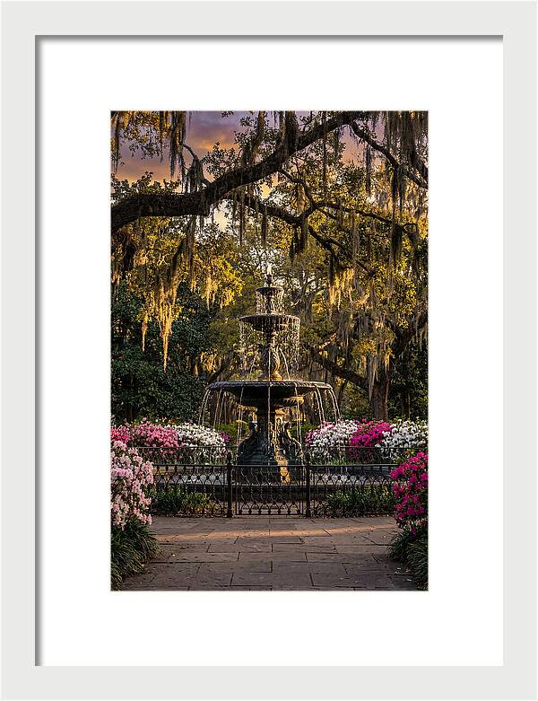 Forsyth Park Fountain At Golden Hour