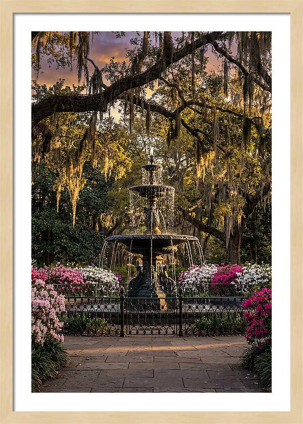 Forsyth Park Fountain At Golden Hour