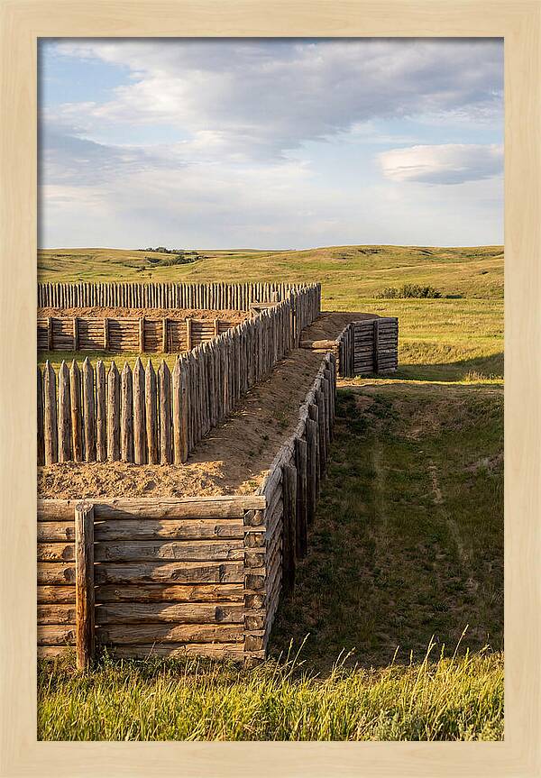 Fortified Structure In Nature