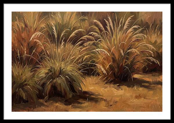 Fountain Grass Serenity