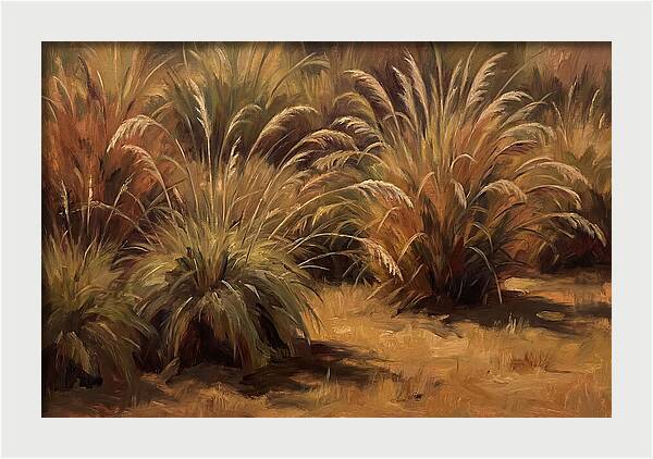 Fountain Grass Serenity