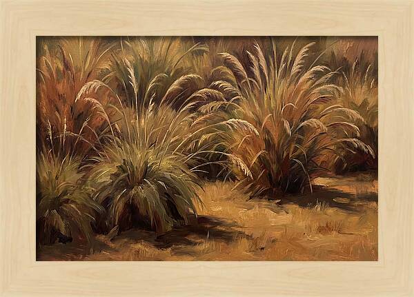 Fountain Grass Serenity