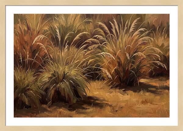 Fountain Grass Serenity