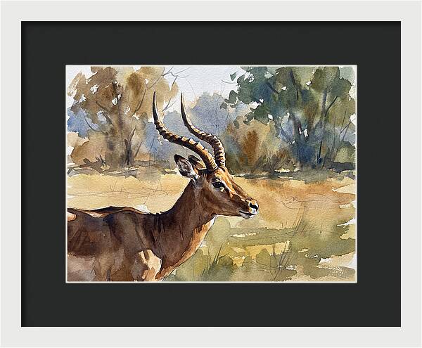 Four Horned Antelope Portrait