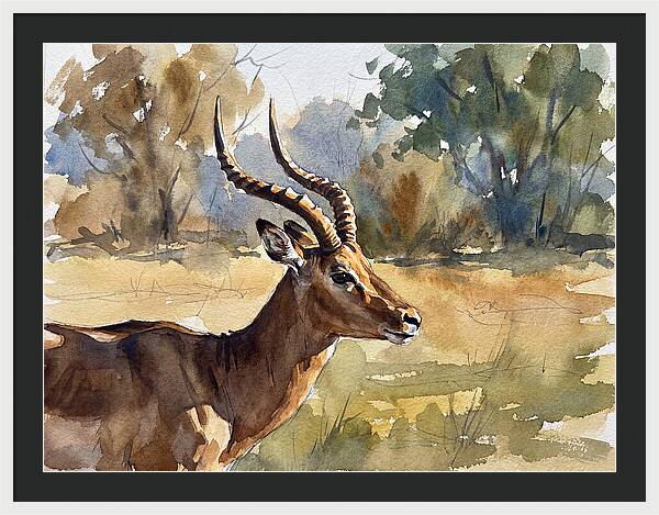 Four Horned Antelope Portrait