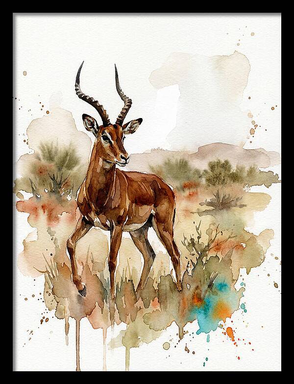 Four Horned Antelope Serenity