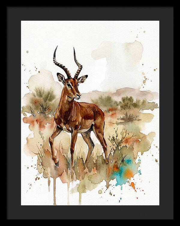 Four Horned Antelope Serenity
