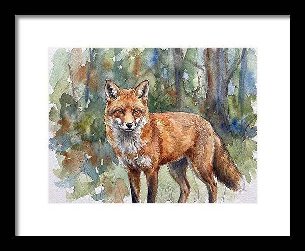 Fox In Natural Habitat