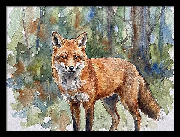 Fox In Natural Habitat