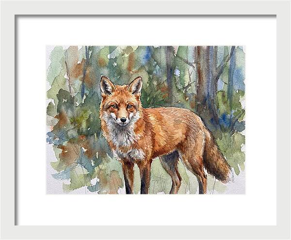 Fox In Natural Habitat
