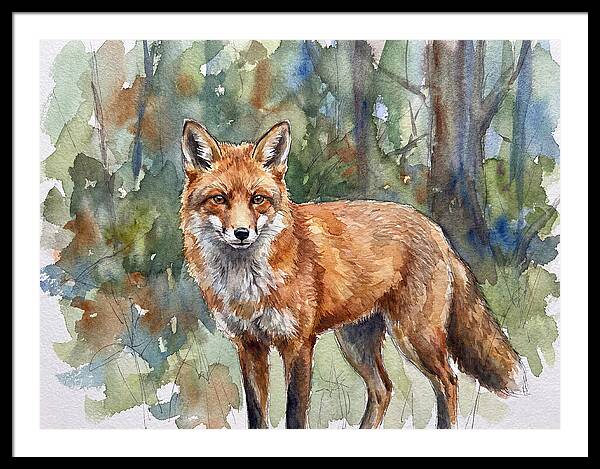 Fox In Natural Habitat
