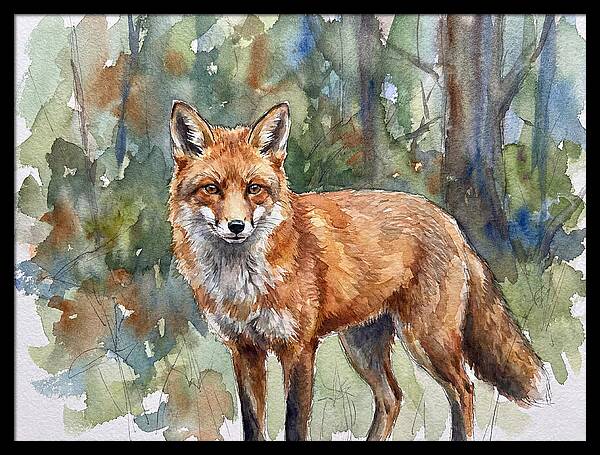 Fox In Natural Habitat