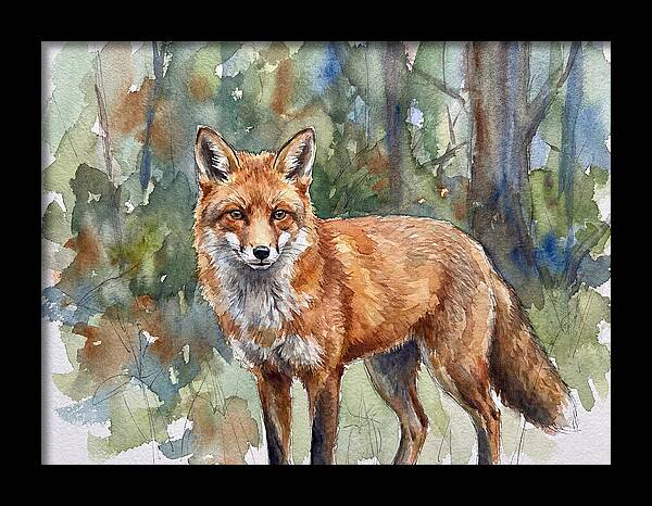 Fox In Natural Habitat