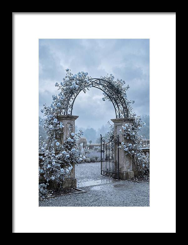 Fragrant Rose Arbor Archway