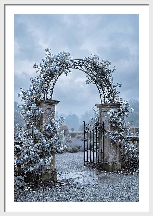 Fragrant Rose Arbor Archway