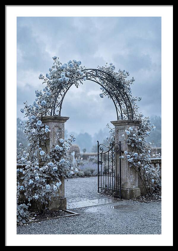 Fragrant Rose Arbor Archway
