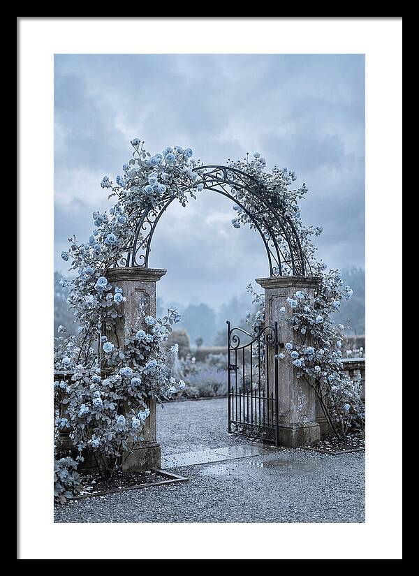 Fragrant Rose Arbor Archway