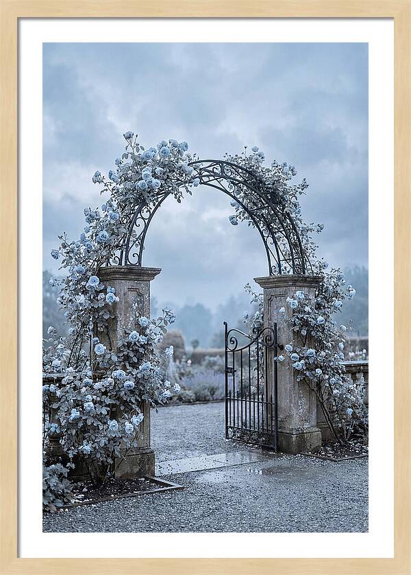 Fragrant Rose Arbor Archway