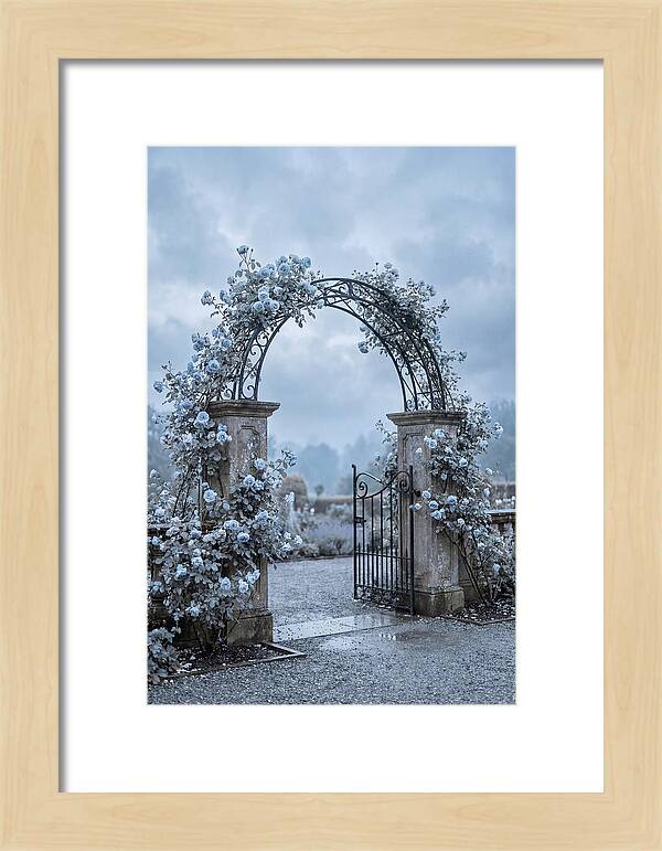 Fragrant Rose Arbor Archway