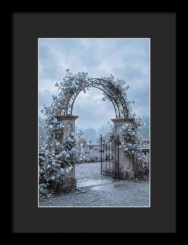 Fragrant Rose Arbor Archway