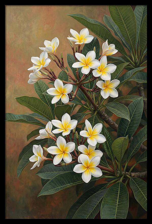 Frangipani Blossoms In Bloom