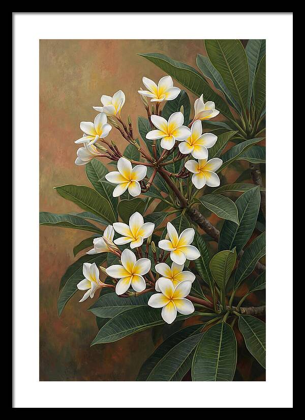 Frangipani Blossoms In Bloom