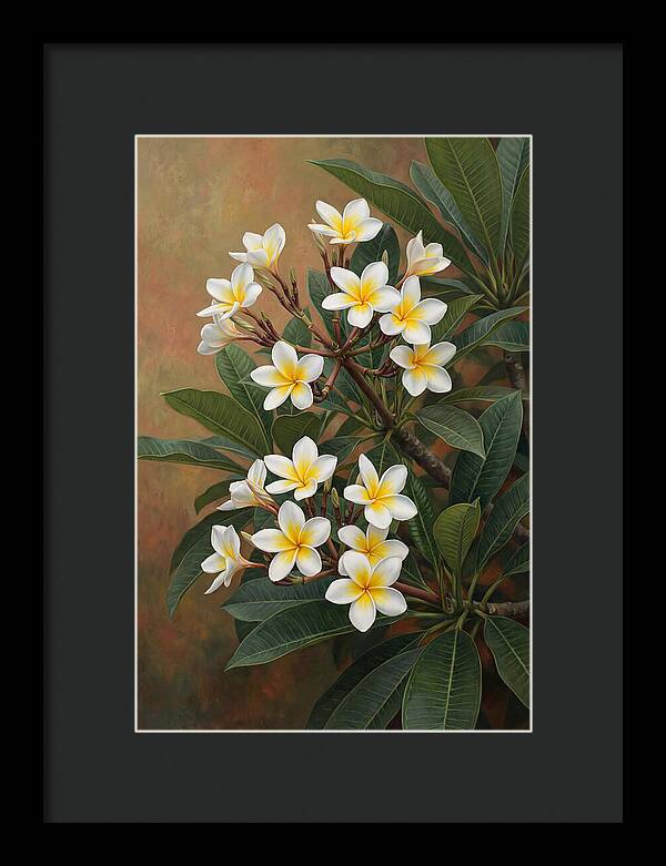 Frangipani Blossoms In Bloom