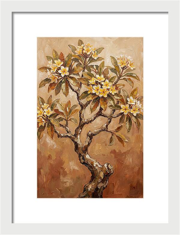 Frangipani Tree In Bloom