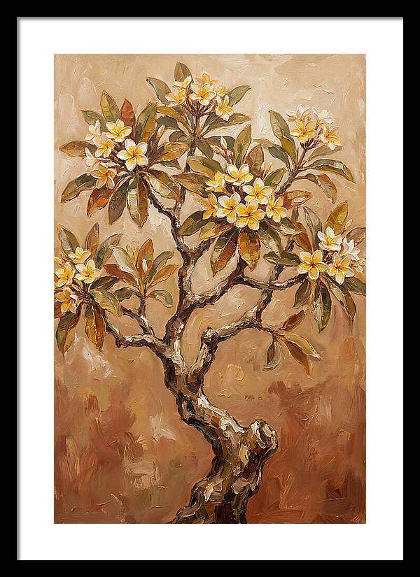 Frangipani Tree In Bloom