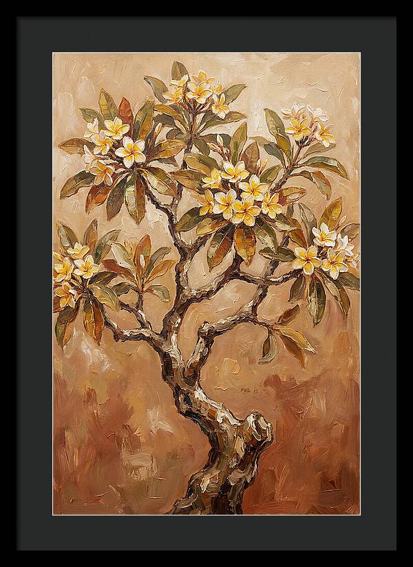 Frangipani Tree In Bloom