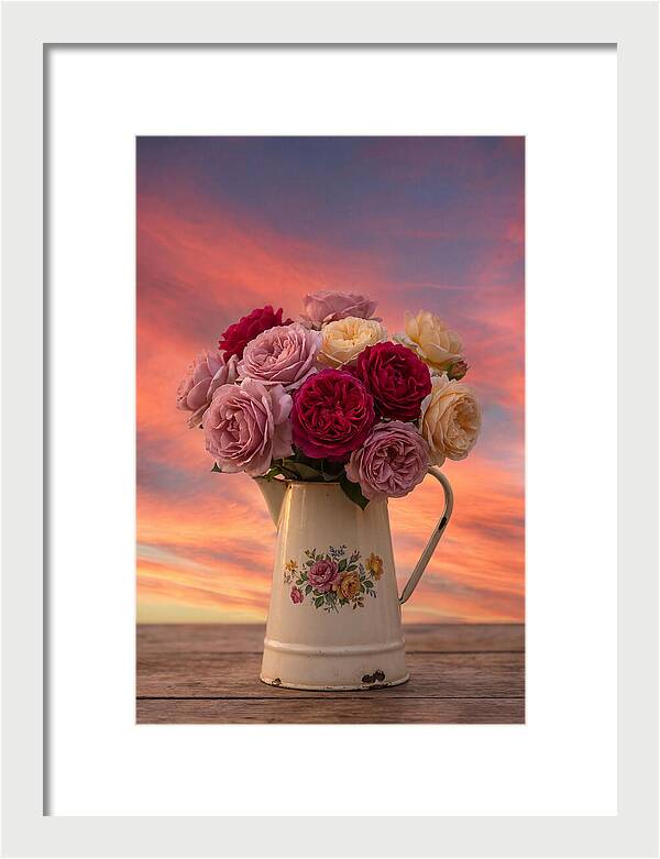 Fresh Cut Garden Roses