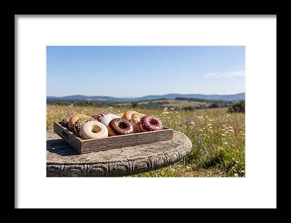 Fresh Donuts Under The Sun