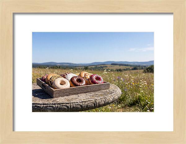 Fresh Donuts Under The Sun