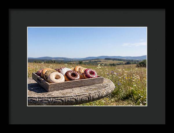 Fresh Donuts Under The Sun