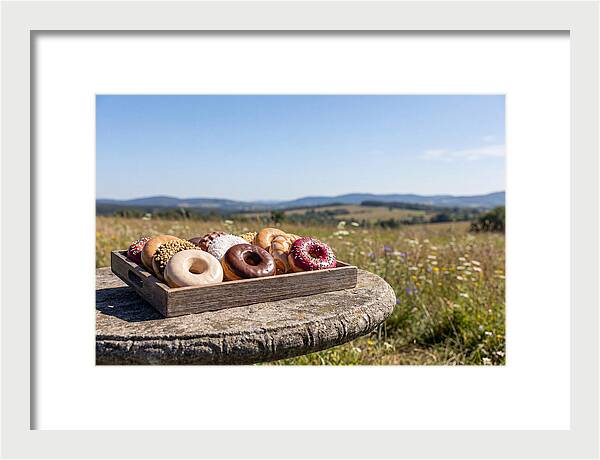 Fresh Donuts Under The Sun
