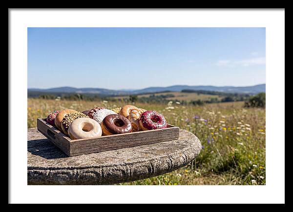 Fresh Donuts Under The Sun