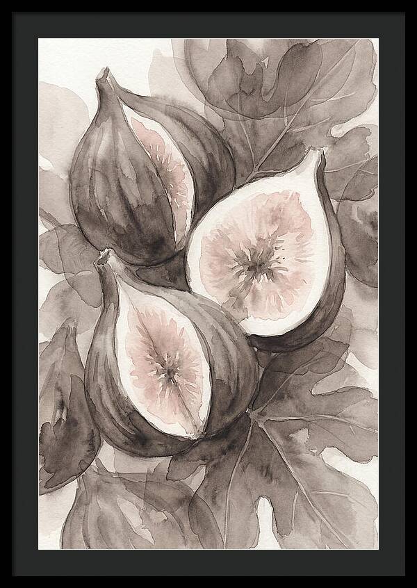 Fresh Figs Revealed In Watercolor