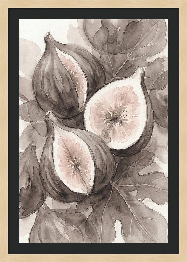 Fresh Figs Revealed In Watercolor