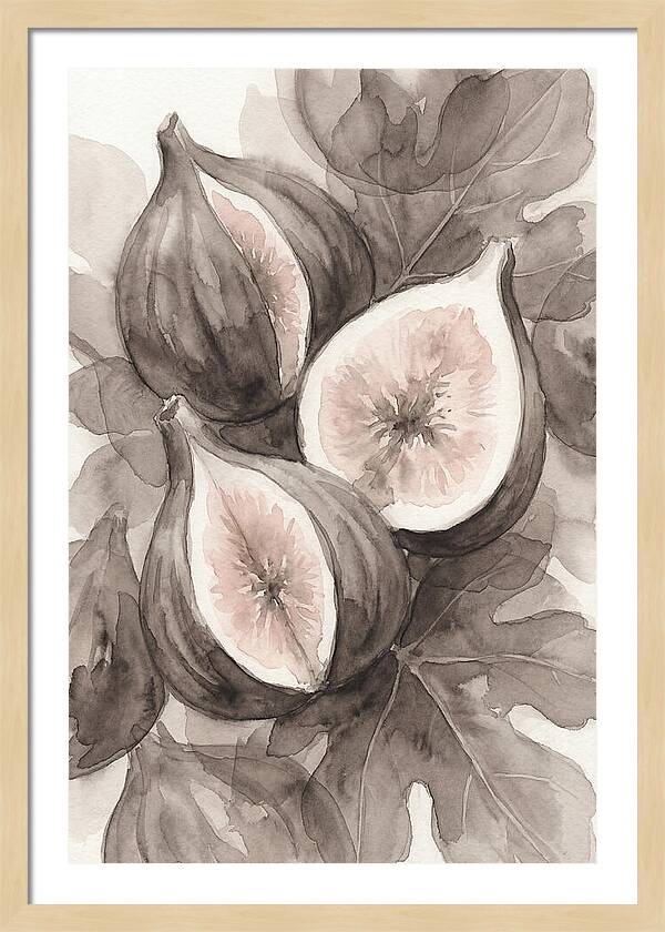 Fresh Figs Revealed In Watercolor