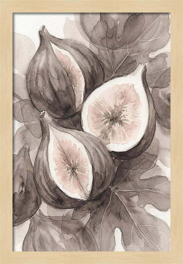 Fresh Figs Revealed In Watercolor
