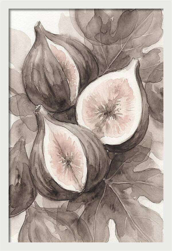 Fresh Figs Revealed In Watercolor