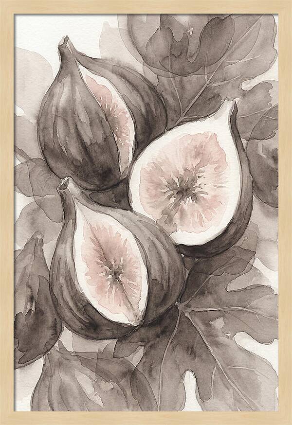 Fresh Figs Revealed In Watercolor
