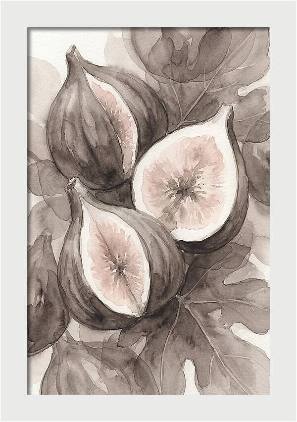 Fresh Figs Revealed In Watercolor