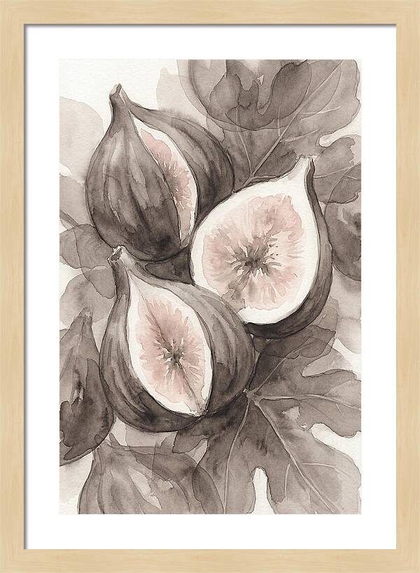 Fresh Figs Revealed In Watercolor