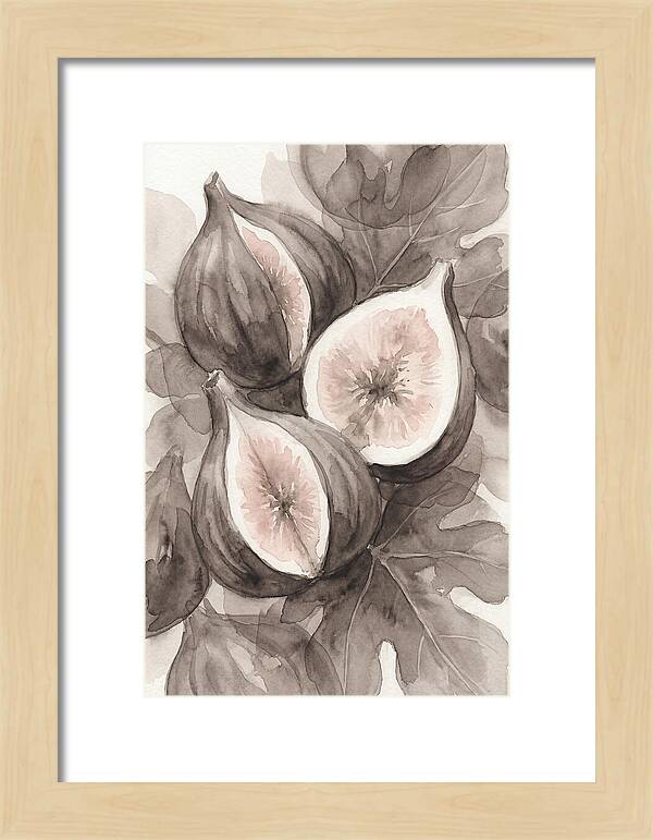 Fresh Figs Revealed In Watercolor