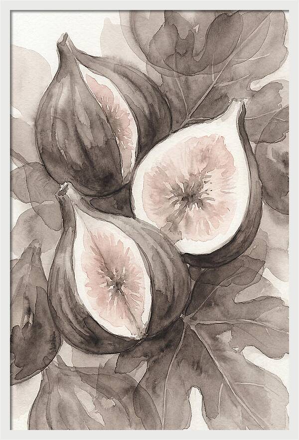 Fresh Figs Revealed In Watercolor